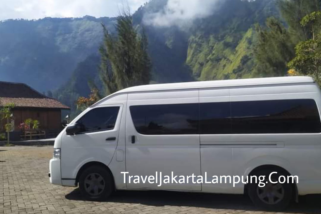 Info Travel Cengkareng Tanjung Karang
